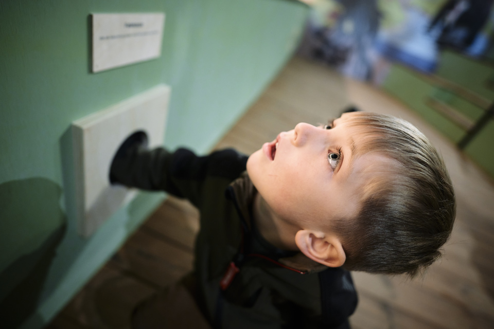 Oplev Urskovens Historie